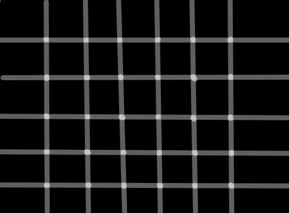 iluzie optica...kate punkte negre sunt?