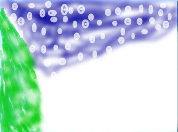 snow