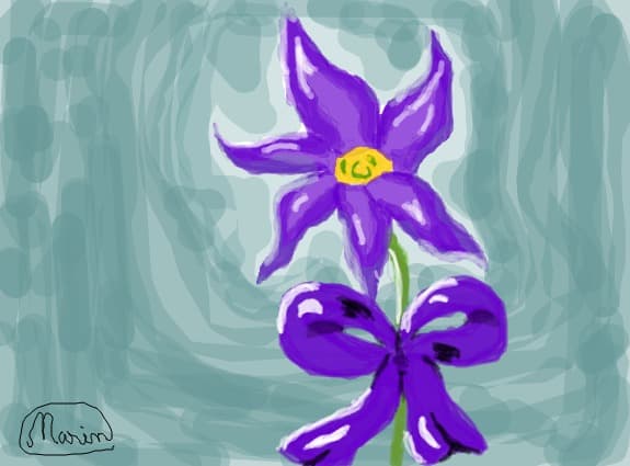 FLOWER MOON,MODIFICAT