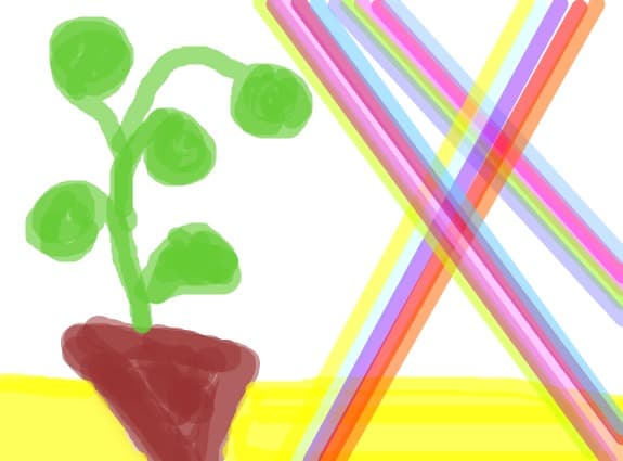 Planta