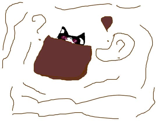 miau?