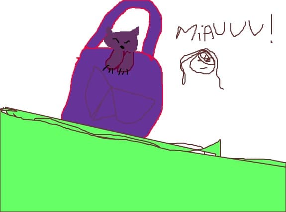 MIAUUUUUUU