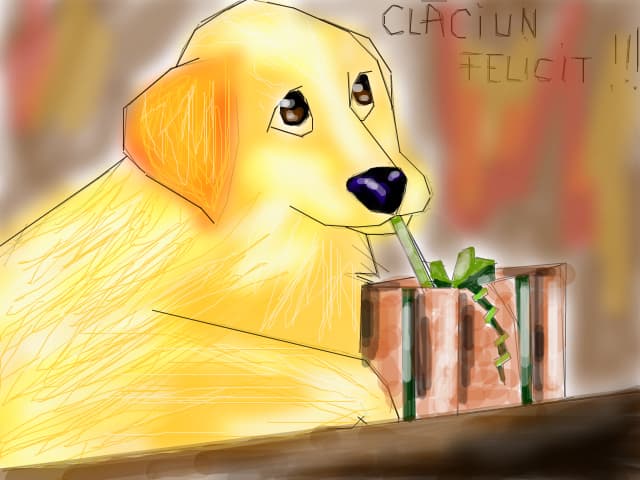 claciun felicit