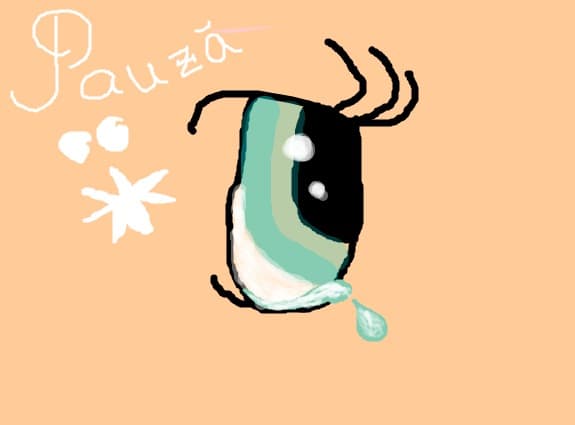 pauza