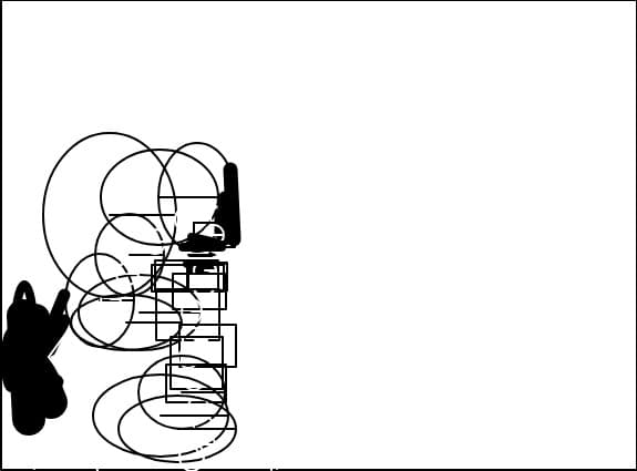 animatie