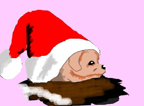 sweet dog :* for Christmas