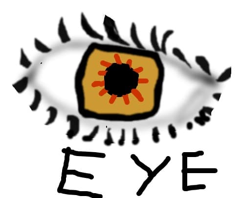 eye