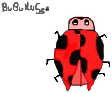 buburusa