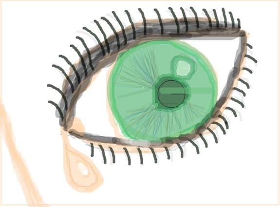 eye
