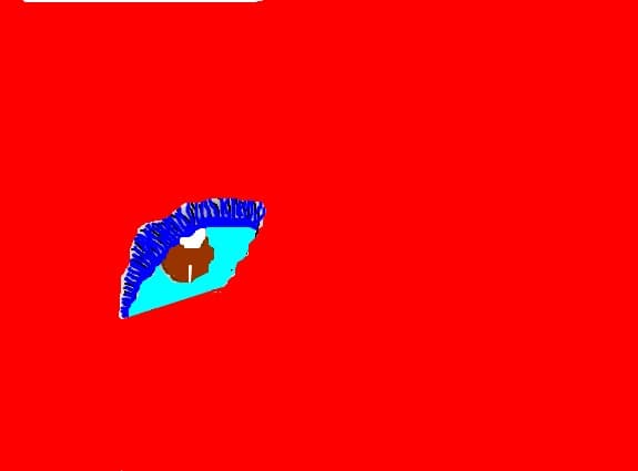 ochi