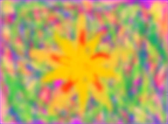 steluta star