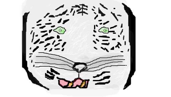 White tiger