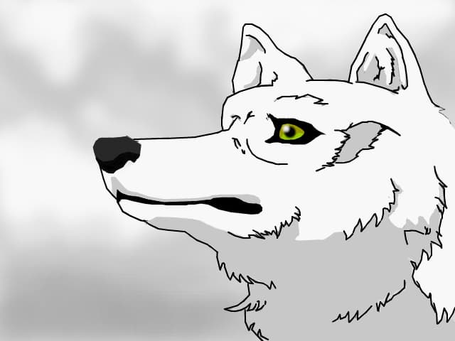 kiba ( resalvat)
