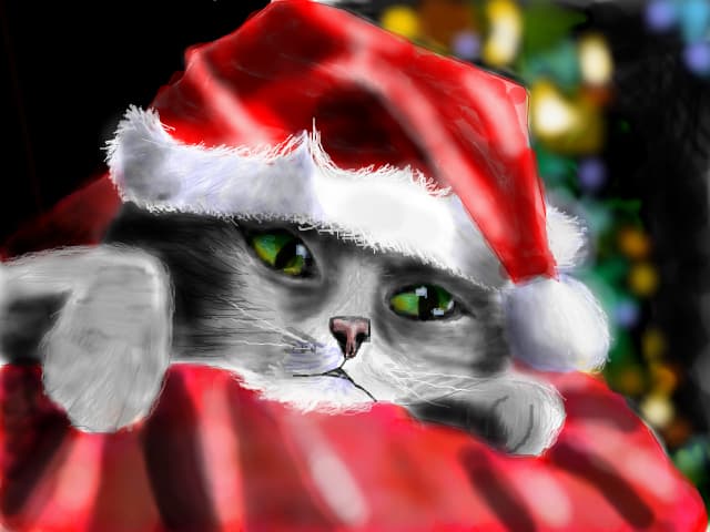 mery christmas