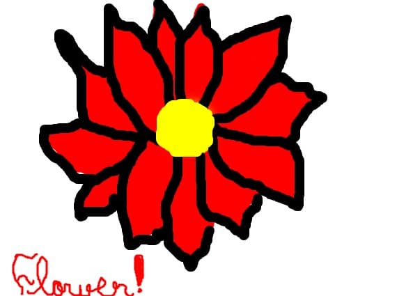 Flower