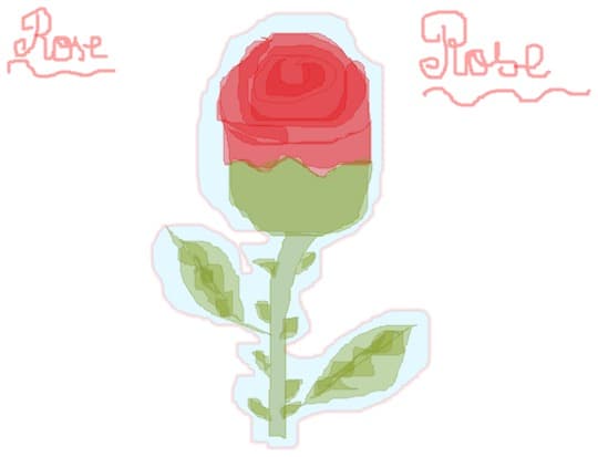 rose