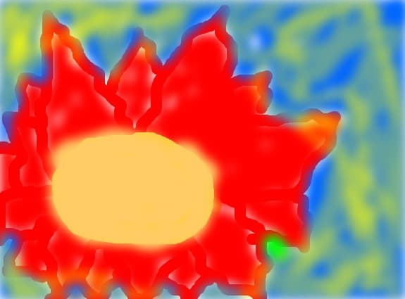 Flowerr