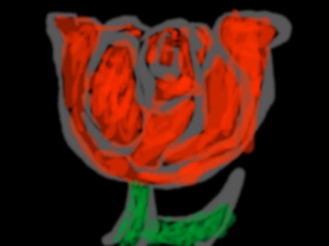 rose for you