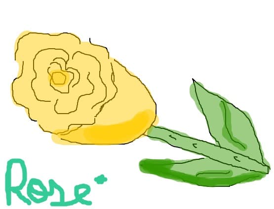 Rose