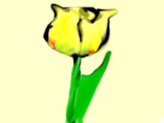 rose