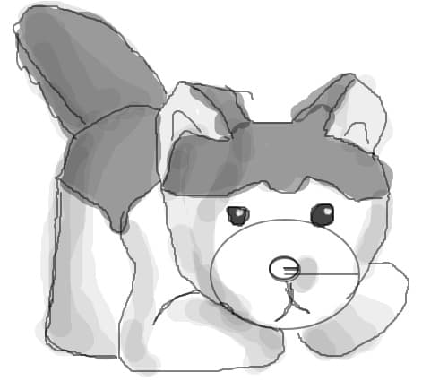 husky-desen-1217175