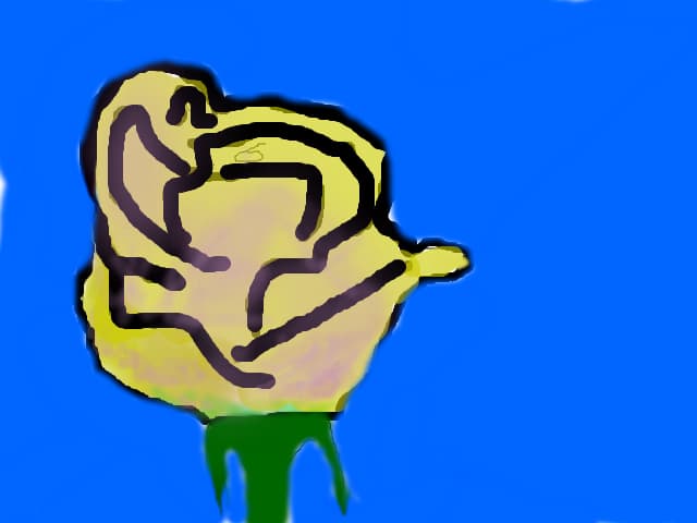 please comment