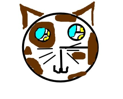 am colorat-o