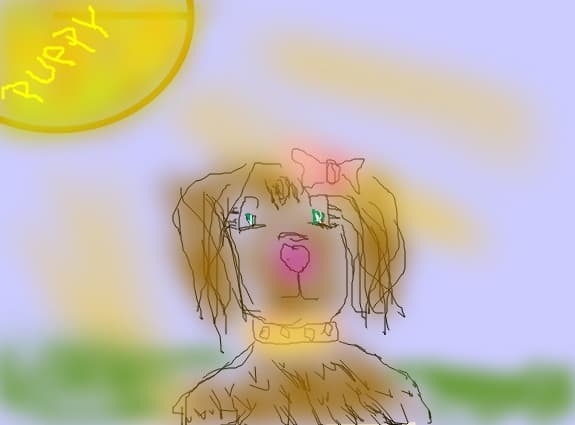 puppy