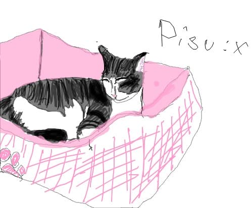 Pisu:X:X (Dora)