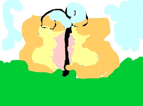 fluture