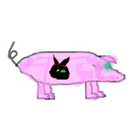 pig