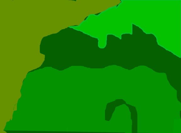 jungla