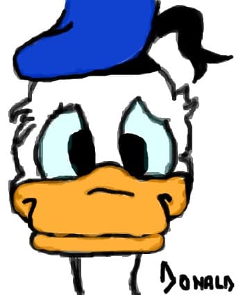 Donald:X love it:X