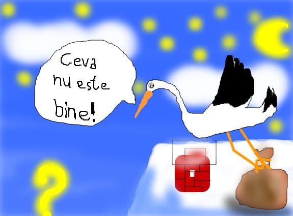Mirela5252