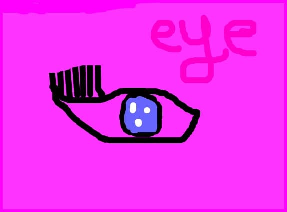 eye