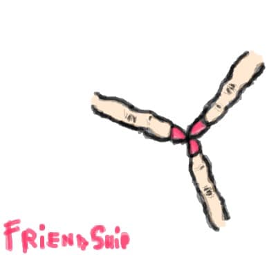 FriendShip