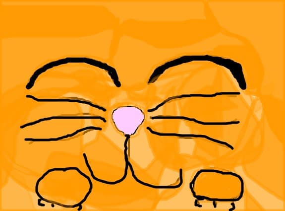 kitty