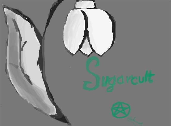 sugarcult