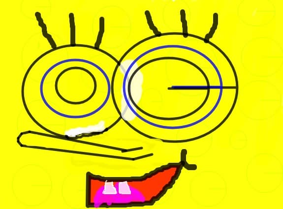 sponge