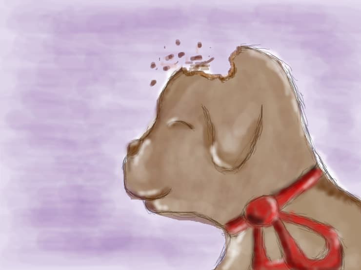 Un cadou dulce de Craciun:X