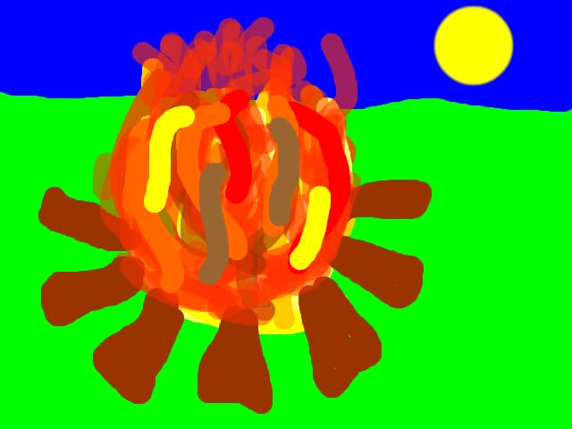 Foc