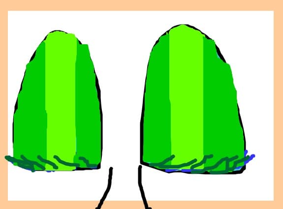 fard verde