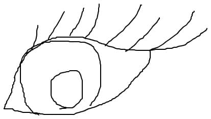 plz commuri ca sa pot sa votez