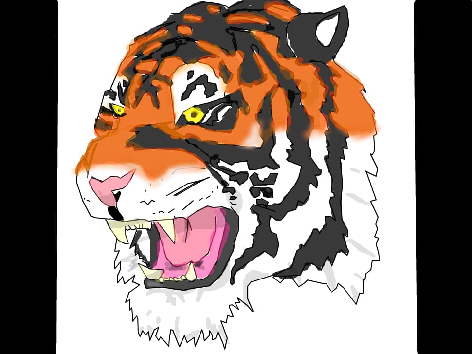 tiger