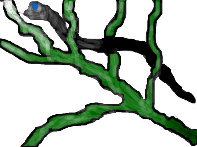 Snake