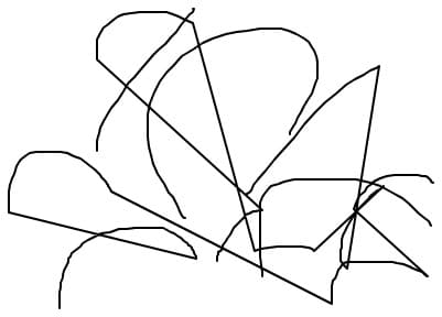 ds