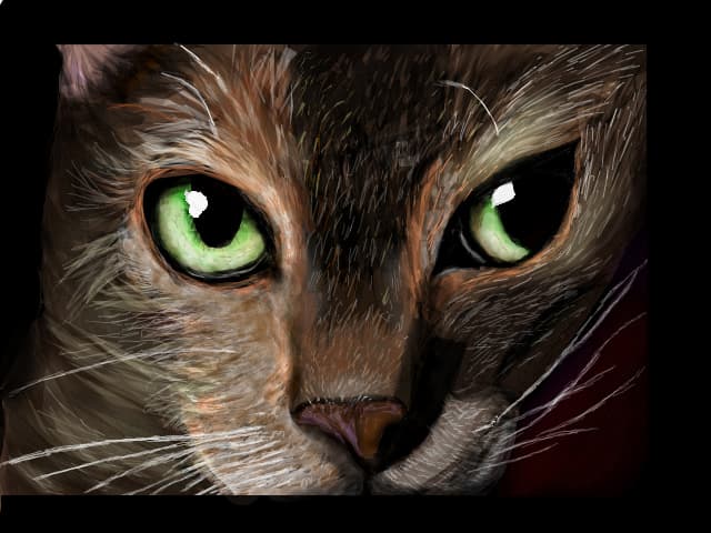 kitty...