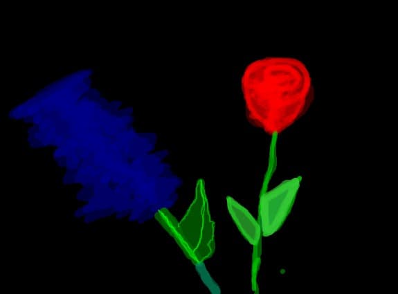 flori