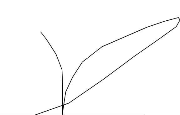 dddd