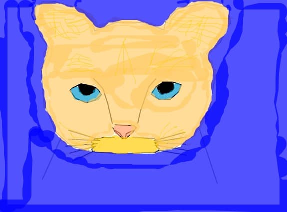 Blue-eyes cat!